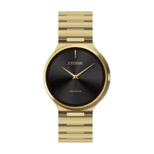 Stiletto Citizen watch front view