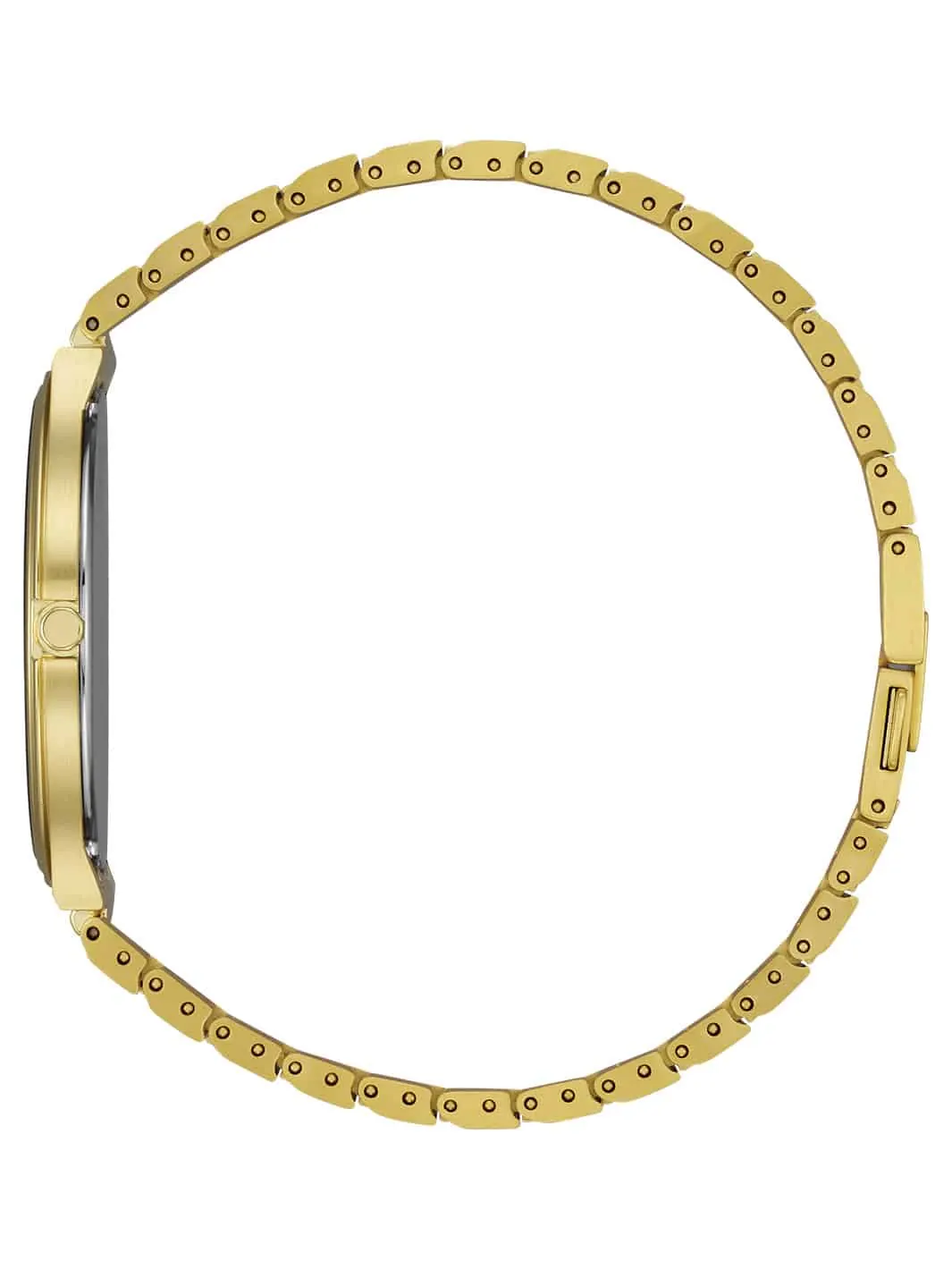 Stiletto Citizen watch side profile