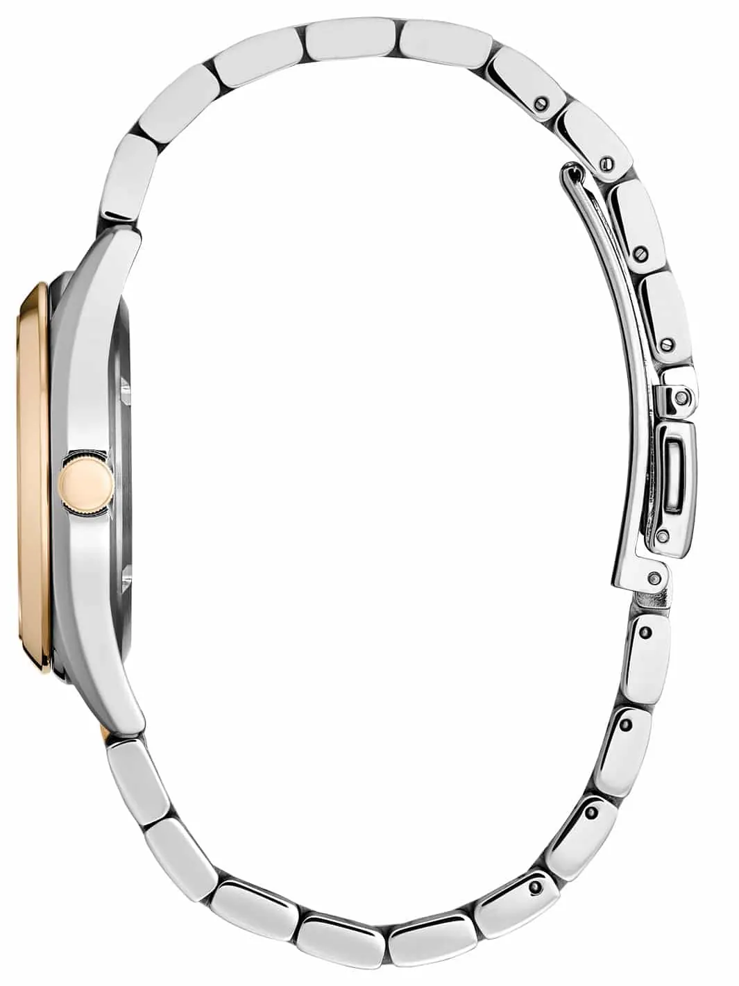 Sport Luxury Citizen watch side profile