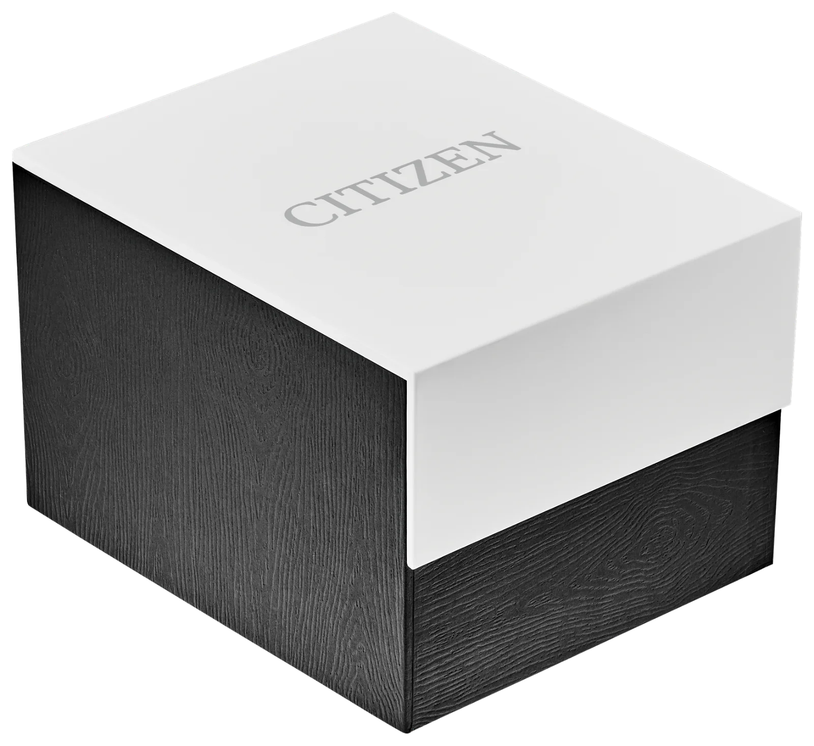 Citizen Corso AO9000-06B