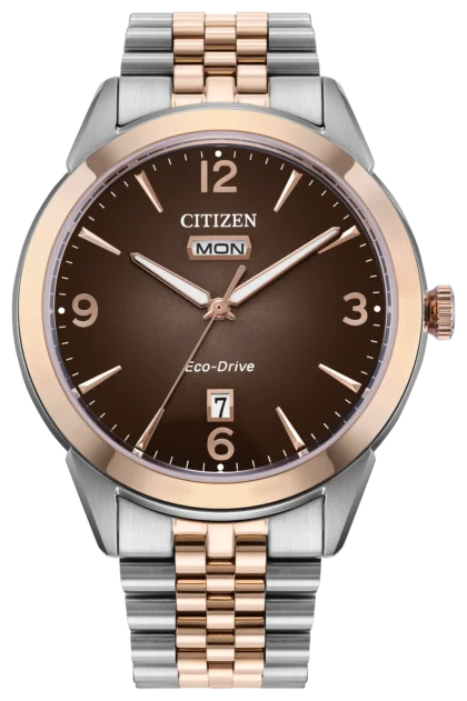 Citizen Rolan AW0156-57X